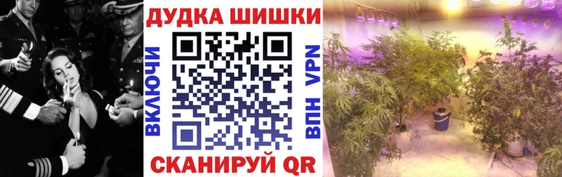 Каннабис конопля  Солигалич 